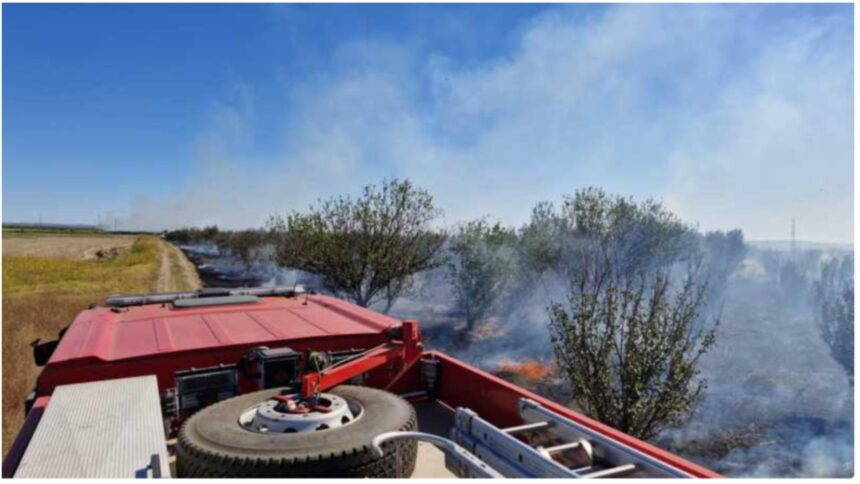 incendiu de vegetatie uscata pe 50 de hectare in teleorman flacarile extins la o livada si ameninta casele din zona 68d1554a91eca