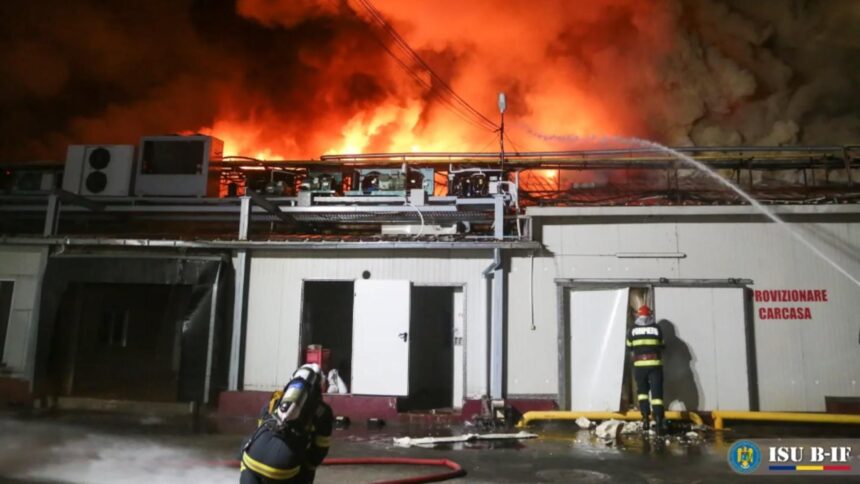 proprietarul halelor antrefrig distruse de incendiu risca sa piarda banii din asigurarea de 12 milioane de euro 68d665ea55f66