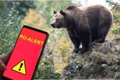 ursii si au facut aparitia in doua localitati din judetul dambovita a fost emis ro alert 68d0e7fc2784b
