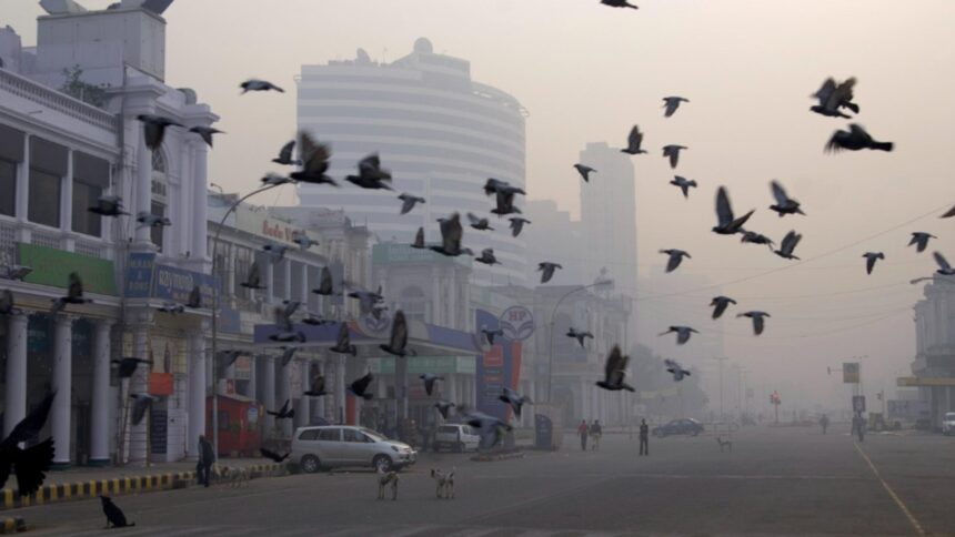 india provoaca pentru prima data o ploaie artificiala deasupra capitalei new delhi pentru a combate poluarea 68fb7b3c7e300