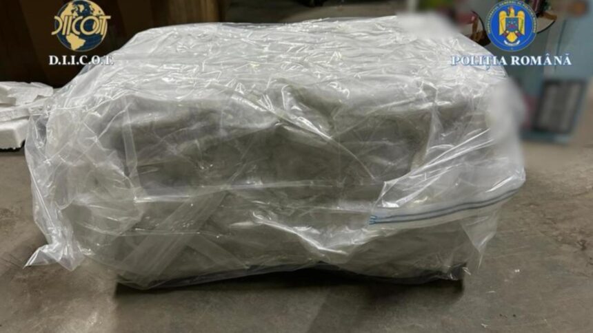 o femeie si un barbat prinsi in flagrant in timp ce vindeau 14 kilograme de canabis pentru suma de 21 000 de euro drogul a fost adus din spania printr o firma de curierat 6900fb61e44bb