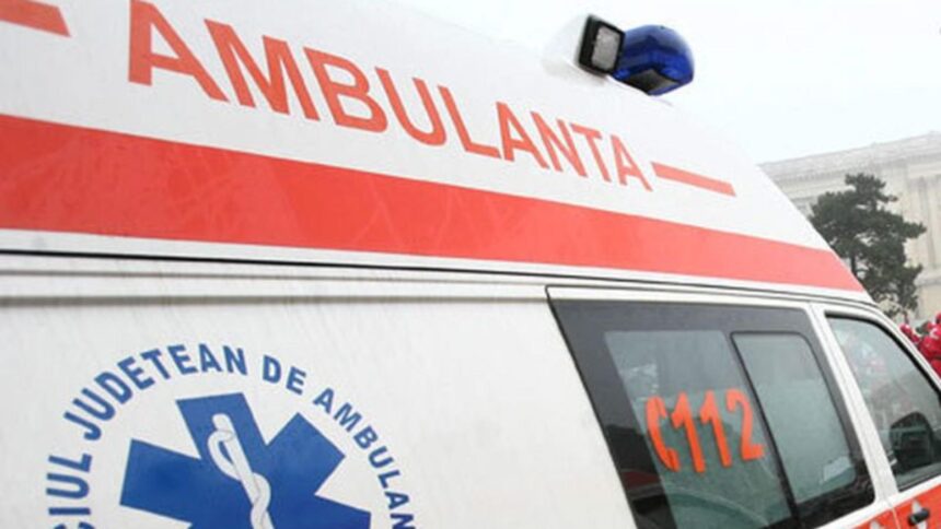 adolescenta de 17 ani decedata la spitalul de copii din timisoara la o zi dupa internare fata ar fi inghitit fructele unei plante ornamenatele 69132ec034fd5