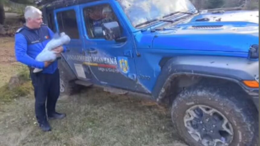 bebelus de numai trei luni blocat pe munte cu familia interventie dramatica a jandarmilor in lupta contracronometru cu frigul 6922014e59410