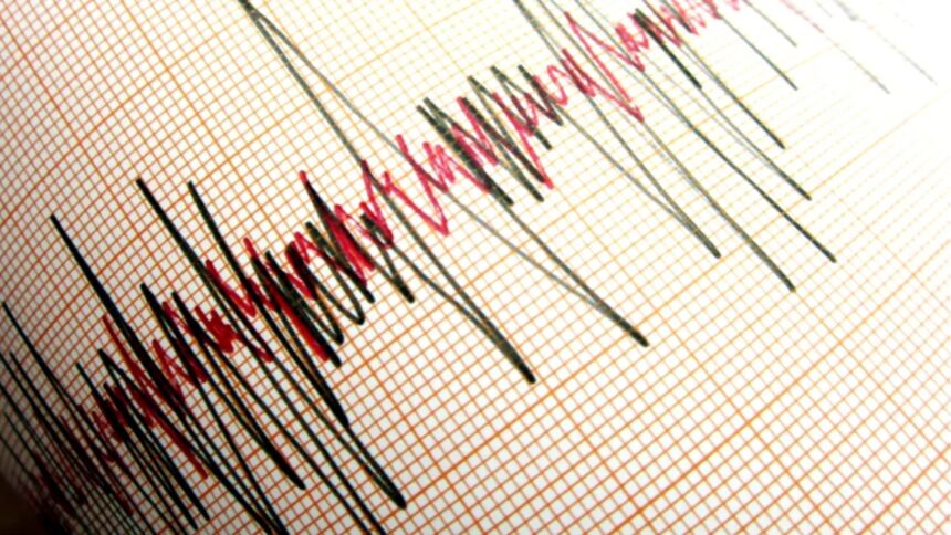 cutremur in zona seismica vrancea joi dimineata anuntul oficial al ifp 69280f6152d48