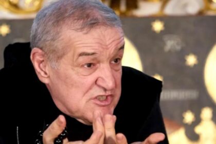 gigi becali a pierdut definitiv marca steaua in procesul fcsb csa decizia finala a iccj 690ae70d127b6