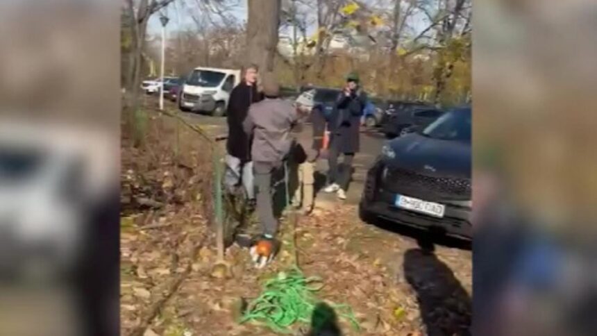 scandal in sectorul 3 din cauza taierilor abuzive proteste dupa taierile arborilor 6925e070626ff