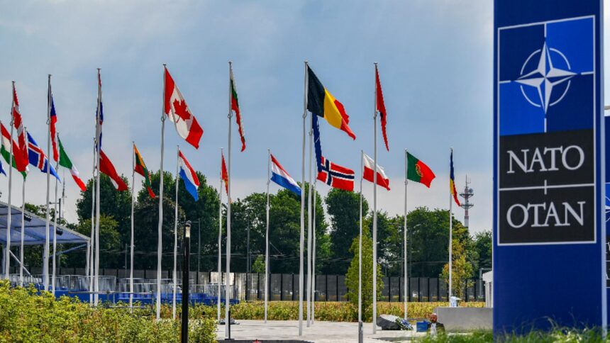 anul in care europa ar trebui sa preia majoritatea capabilitatilor nato conform pentagonului 69349ec5def28