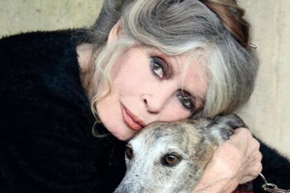 cand va avea loc inmormantarea lui brigitte bardot marea actrita va fi inmormantata la saint tropez langa cainii ei 6952cf910d7bb