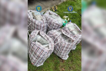 captura uriasa de droguri la frontiera romano bulgara 37 de kilograme de canabis descoperite intr un transport de arbusti ornamentali 694171ba3c0ca
