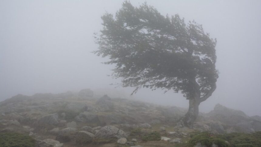 cod galben de vant puternic rafale de pana la 110 km h in zonele montane hartile cu zonele vizate 69329b83d6284