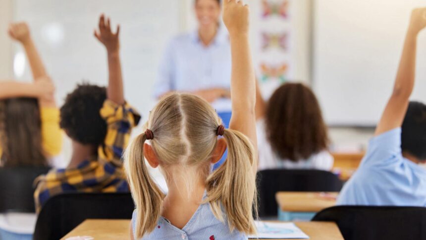 educatie romaneasca 15 dintre profesorii care au scris programa la romana pentru liceu sunt si in comisia de avizare 69410b8c1ae7d