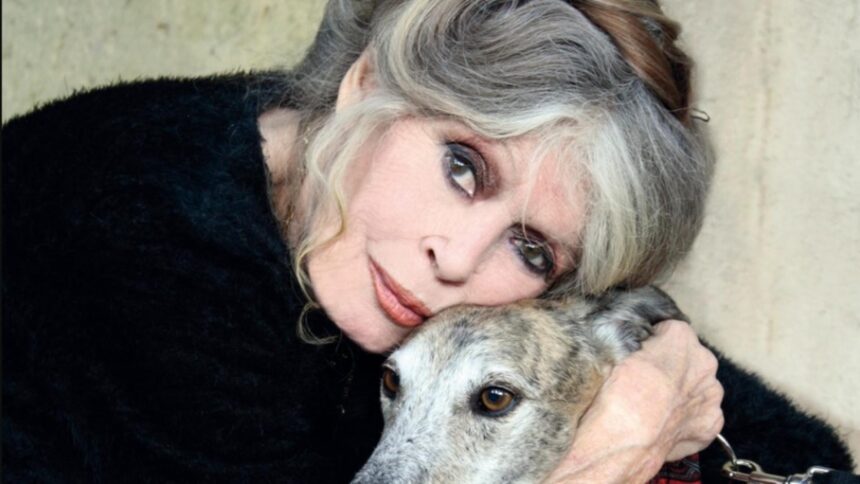 la 91 de ani brigitte bardot trimite un mesaj pentru fanii sai dupa o noua internare in doar o luna 692f095600715 1