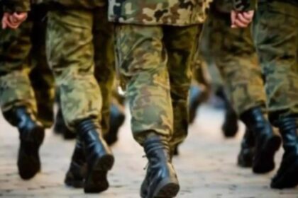 legea voluntariatului militar adoptata definitiv de senat 6943b95a973a2