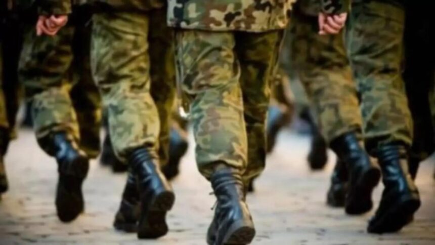 legea voluntariatului militar adoptata definitiv de senat 6943b95a973a2