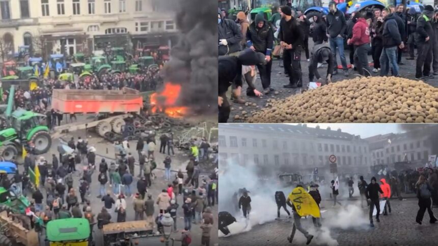 protestul urias al fermierilor pus pe pauza pana in ianuarie imagini incredibile belgienii au luat acasa cartofii aruncati de manifestati 6946800715724