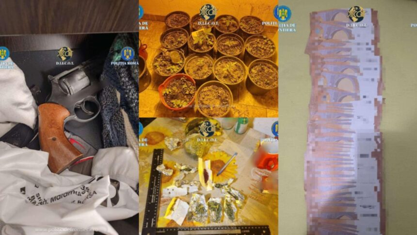 retea de droguri de mare risc destructurata de politisti trei persoane din maramures au fost arestate 6943f6278b002