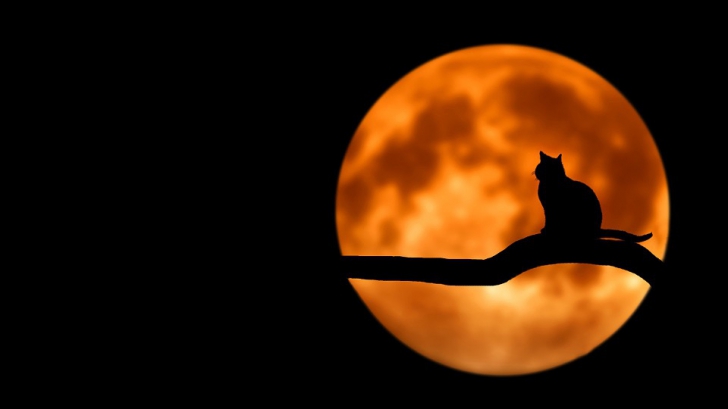 ritualuri la luna plina din data de 4 decembrie te ajuta la indeplinirea dorintelor 693152244e4f8