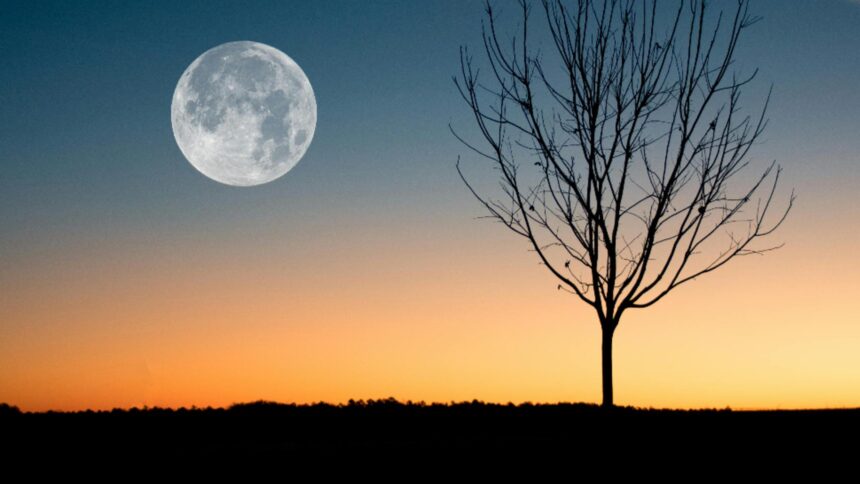 super luna rece din 4 decembrie 2025 ce se va intampla din punct de vedere astral pentru fiecare zodie in parte 693029aff245f