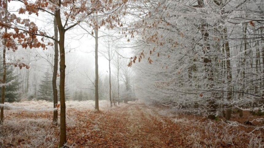 cod galben de ger vortexul polar loveste romania sefa anm urmeaza temperaturi de 14 grade celsius 697db092758fc
