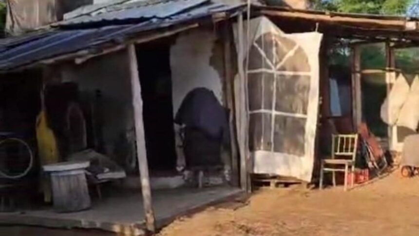doi soti din bihor condamnati la inchisoare pentru exploatarea in conditii de sclavie a unui barbat vulnerabil apararea conditiile reflecta realitatea satului romanesc 69721c980051b