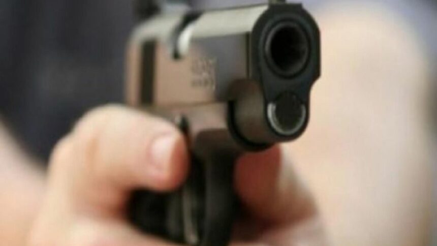 incident in timpul perchezitiilor la medicul cristian andrei politistii au folosit arme cu bile de cauciuc impotriva unor caini agresivi 6979d93f7ead5
