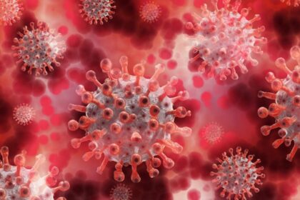 o boala mortala face ravagii in sua cazurile au explodat in ultima perioada iar oamenii refuza vaccinarea 6970bb4462935