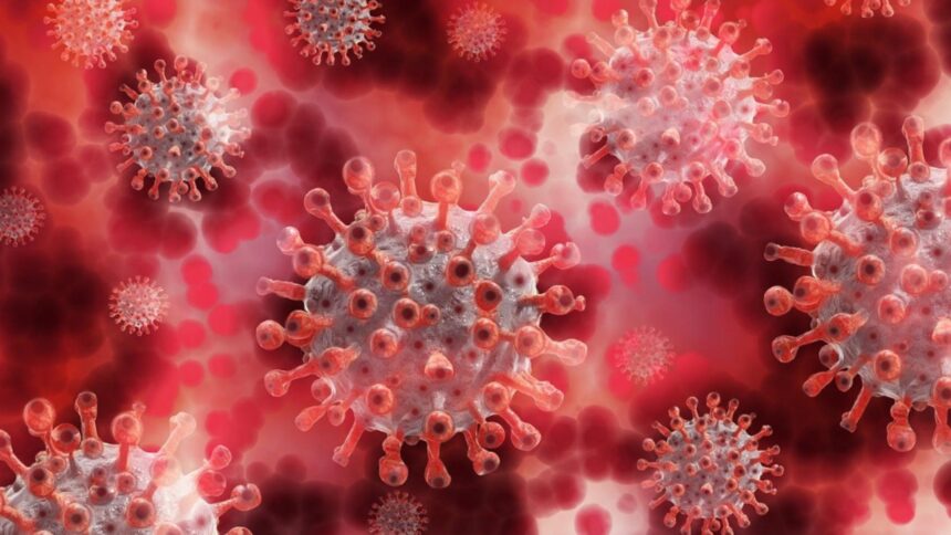 o boala mortala face ravagii in sua cazurile au explodat in ultima perioada iar oamenii refuza vaccinarea 6970bb4462935