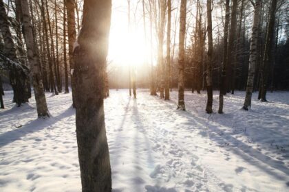 schimbare de vreme in romania dupa valul de frig accentuat temperaturile vor creste in toate regiunile 6964f06610485