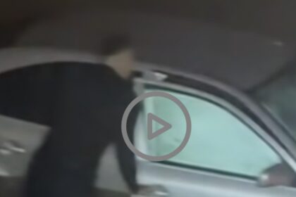 sindicatul europol mesaj transant catre sefii politiei romane asa isi pretuieste institutia eroii video 696212876333e