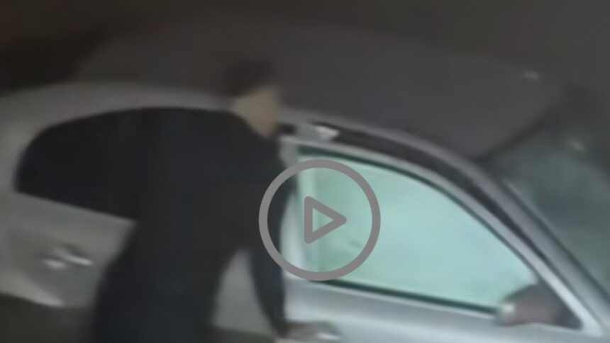 sindicatul europol mesaj transant catre sefii politiei romane asa isi pretuieste institutia eroii video 696212876333e