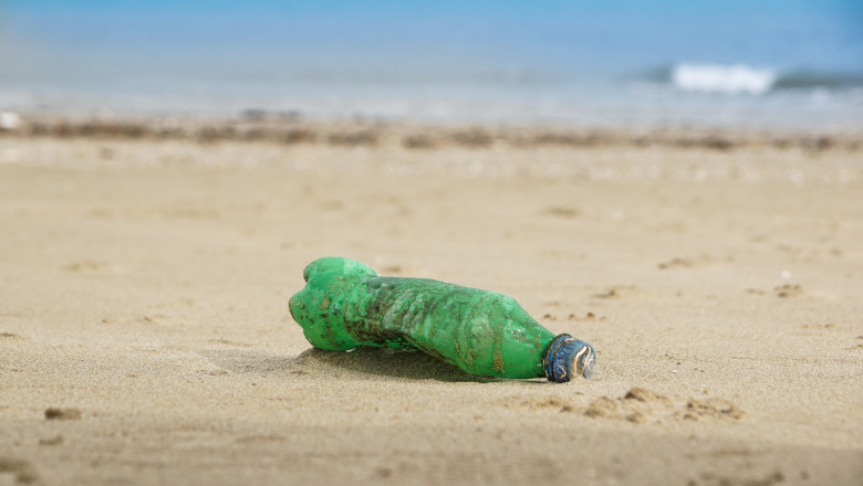video cercetatorii avertizeaza peste cu microplastic pe masa romanilor marea neagra poluata masiv 69690173ef0e0