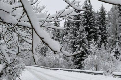 vreme extrema in tara in continuare ninge abundent in mai multe zone ce ne asteapta in orele urmatoare potrivit anm 6958d6e8a1132