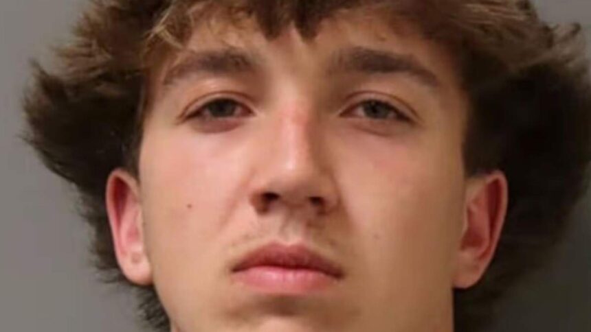 adolescent de 17 ani retinut dupa ce si a incendiat un prieten scenele au ajuns pe internet 6986102540127