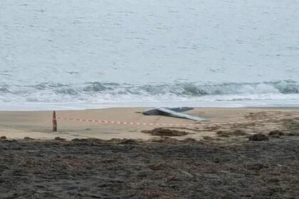 alerta la marea neagra posibil fragment de drona descoperit pe plaja din mamaia 69948482a6220