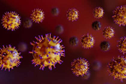 alerta sanitara un virus periculos cu mortalitate de pana la 75 confirmat la o femeie din bangladesh 698842b2e8a73
