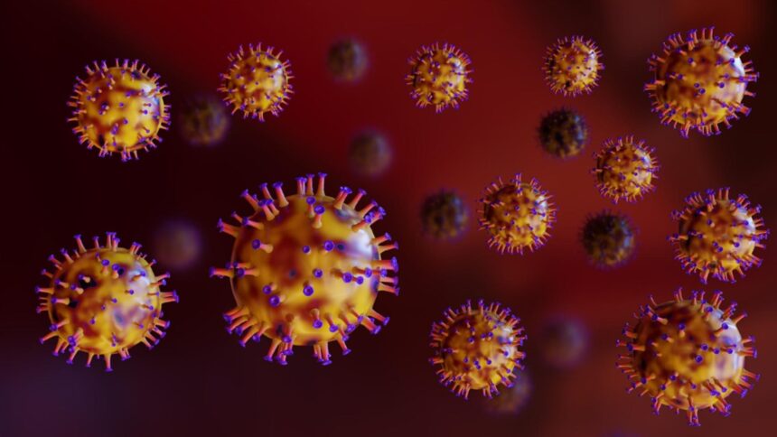 alerta sanitara un virus periculos cu mortalitate de pana la 75 confirmat la o femeie din bangladesh 698842b2e8a73