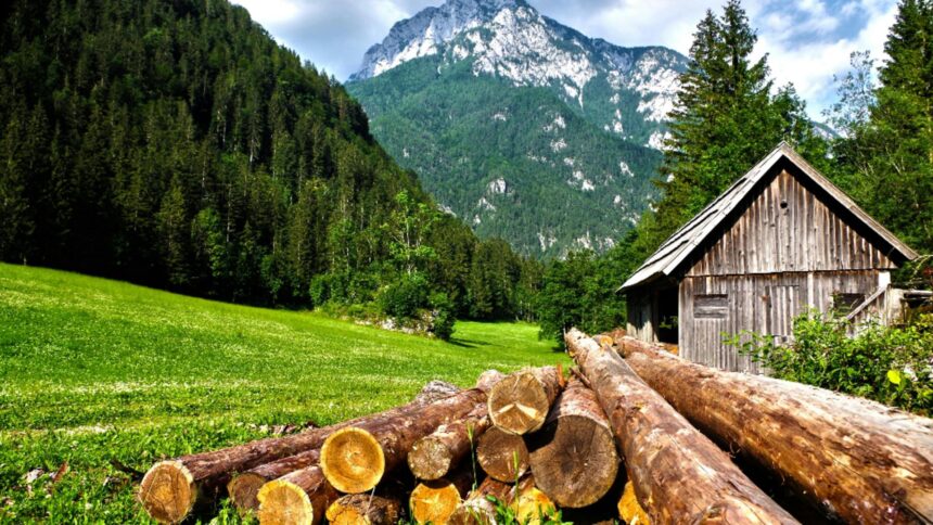 de ce este recomandat sa petreci cat mai mult timp in natura beneficiile nebanuite pentru sanatate 699c48157383b