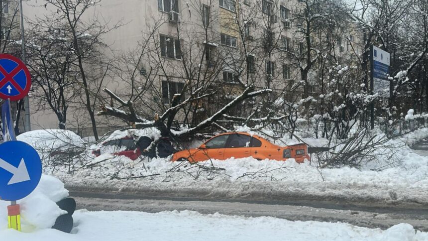 haos in capitala copaci prabusiti peste masini autobuze blocate in zapada si trafic paralizat 6995a3bed0435