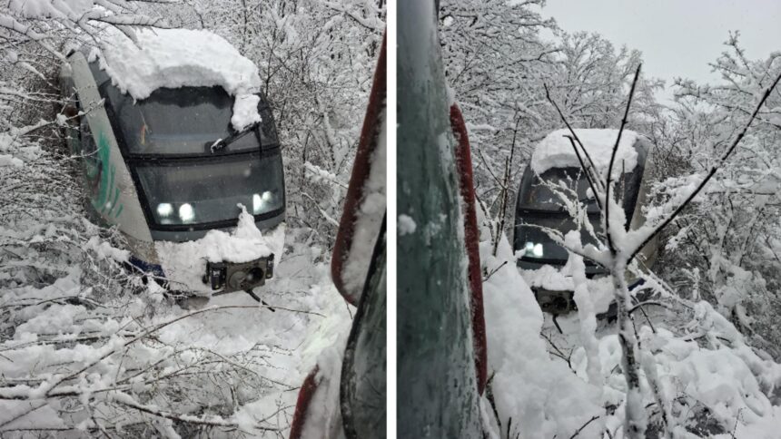 imagini socante de pe ruta bucuresti urziceni trenul circula cu 10 km h prins intre copaci si troiene uriase video 6995840807d1f