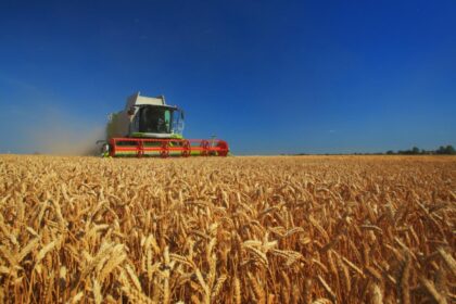 romania a redevenit granarul europei ministrul agriculturii promite 27 milioane de hectare irigate pana in 2027 nimeni nu ne mai poate bate 69a089d891ba2