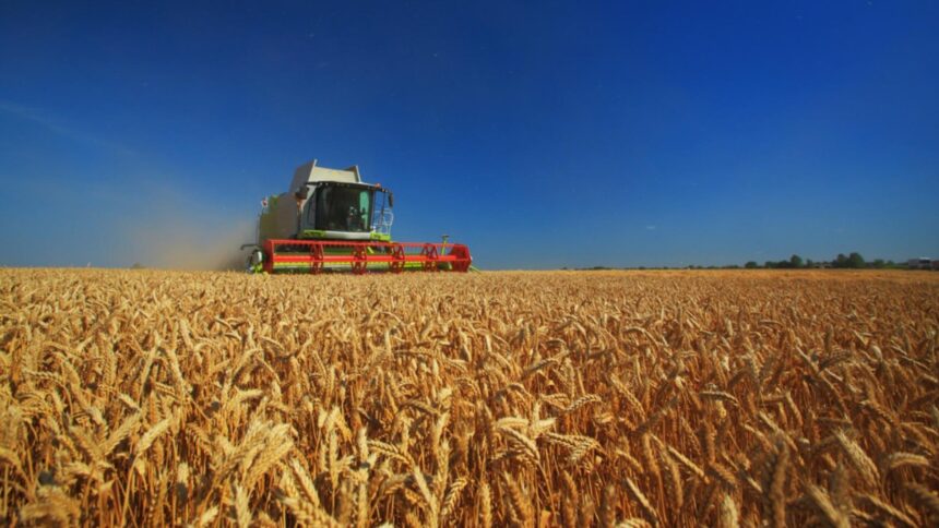 romania a redevenit granarul europei ministrul agriculturii promite 27 milioane de hectare irigate pana in 2027 nimeni nu ne mai poate bate 69a089d891ba2
