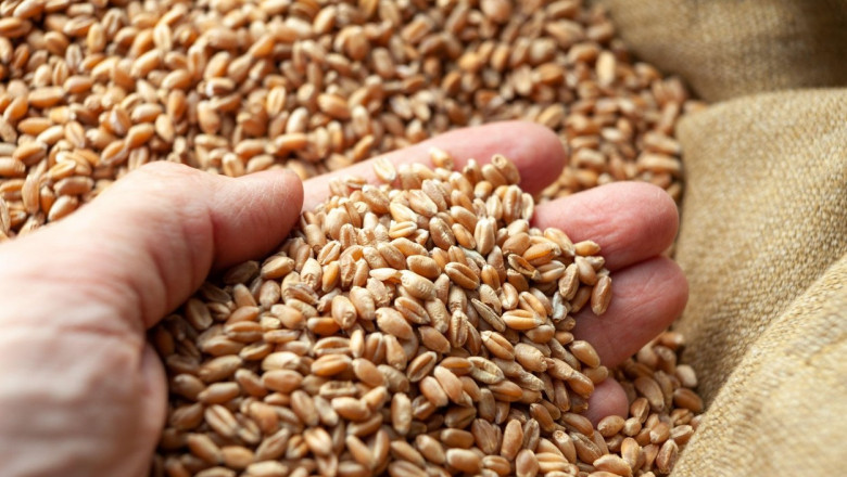 romania va incepe in maximum doua luni sa exporte cereale in china anuntul facut de ministrul agriculturii este oficial 69ba63853c427
