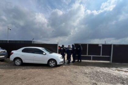 ancheta de amploare in suceava adapost de animale vizat dupa moartea a sute de caini acuzatii grave 69d79a5c2e73b