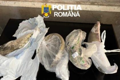 cinci barbati retinuti dupa descinderi pentru pescuit ilegal in arad si timis 69d23151a3b9c
