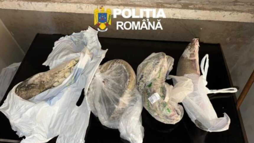 cinci barbati retinuti dupa descinderi pentru pescuit ilegal in arad si timis 69d23151a3b9c