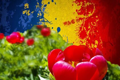 15 mai – Ziua Bujorului, Floarea Națională a României