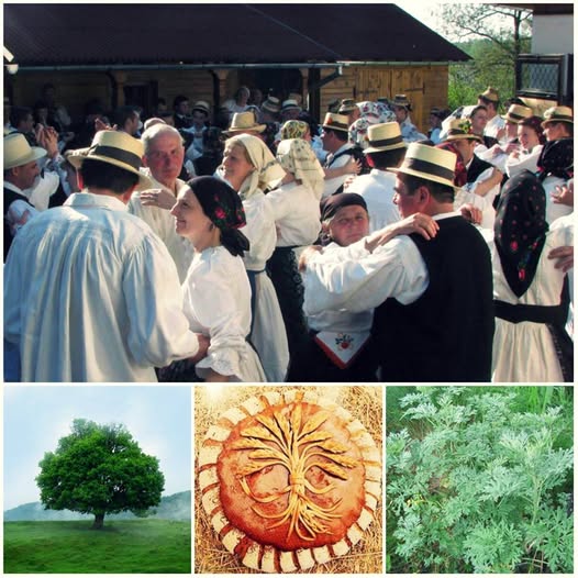 1 Mai: Sărbătoarea Armindeni, cunoscută ca „Ziua Pelinului” sau „Pomul lui Mai” la români.