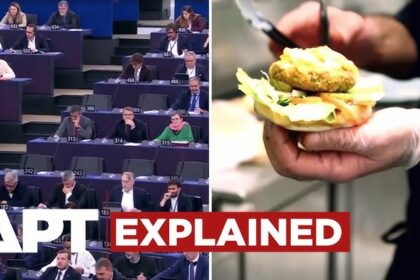 Parlamentul European friptura