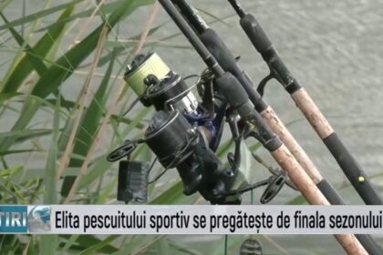 elita pescuitului