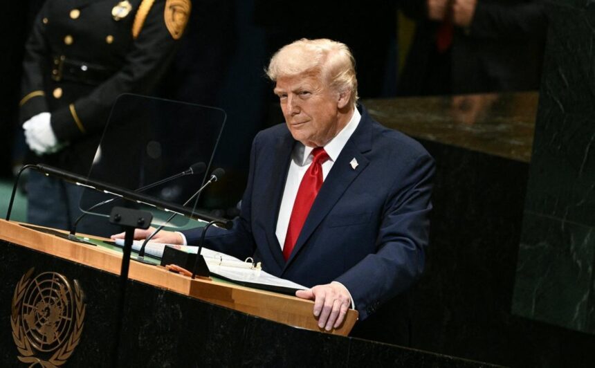 Donald Trump poza